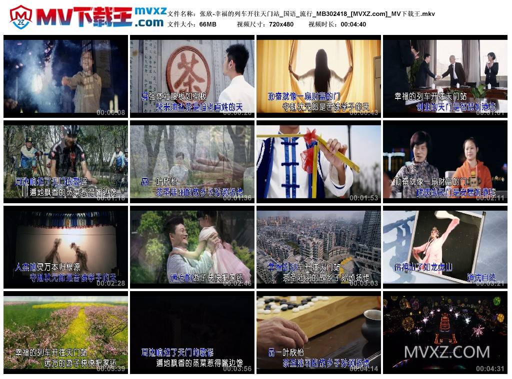 张欣-幸福的列车开往天门站_国语_流行_MB302418